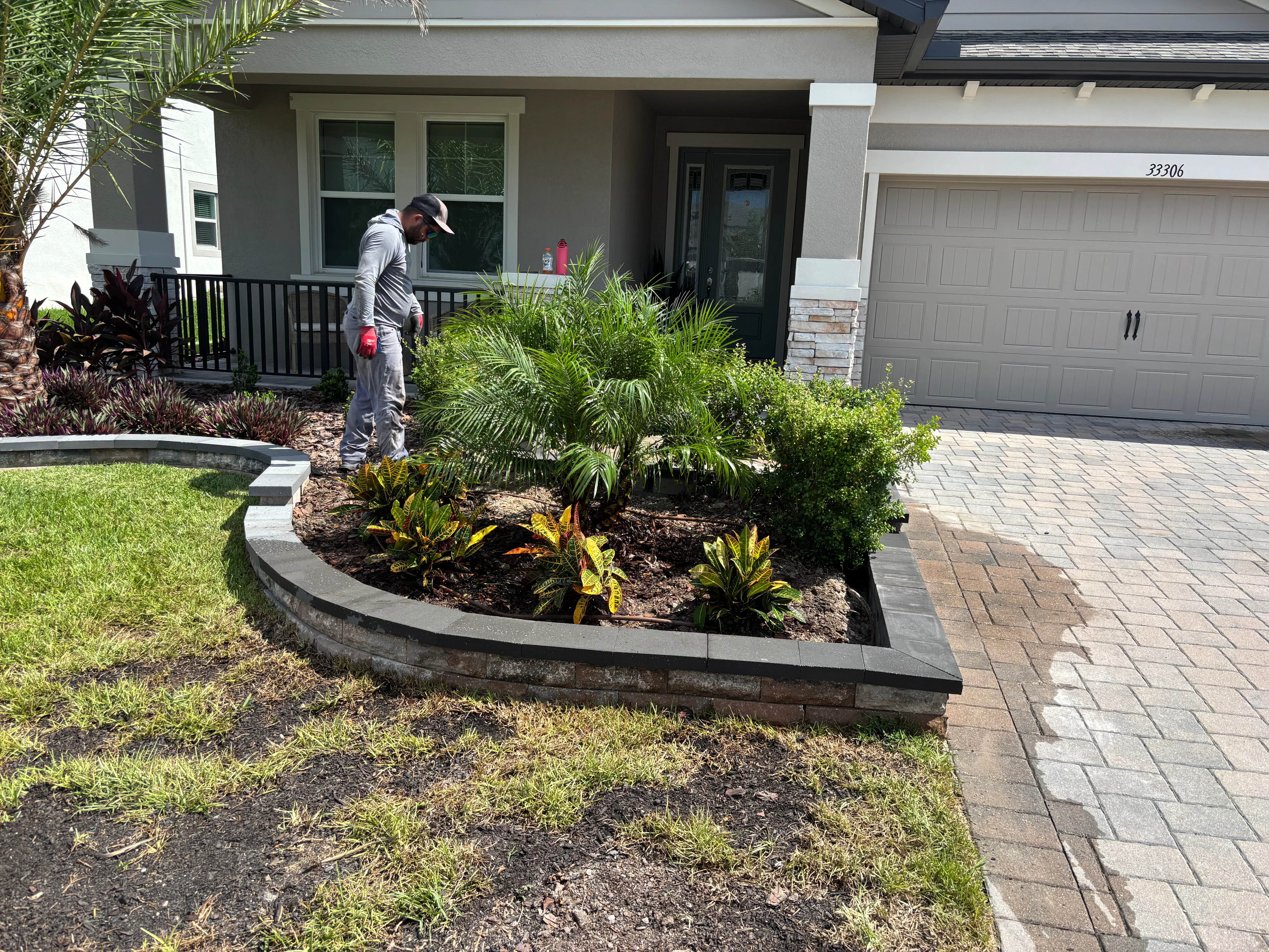 Curved concrete retaining wall with tropical plants, palms, and dark mulch in front yard bed