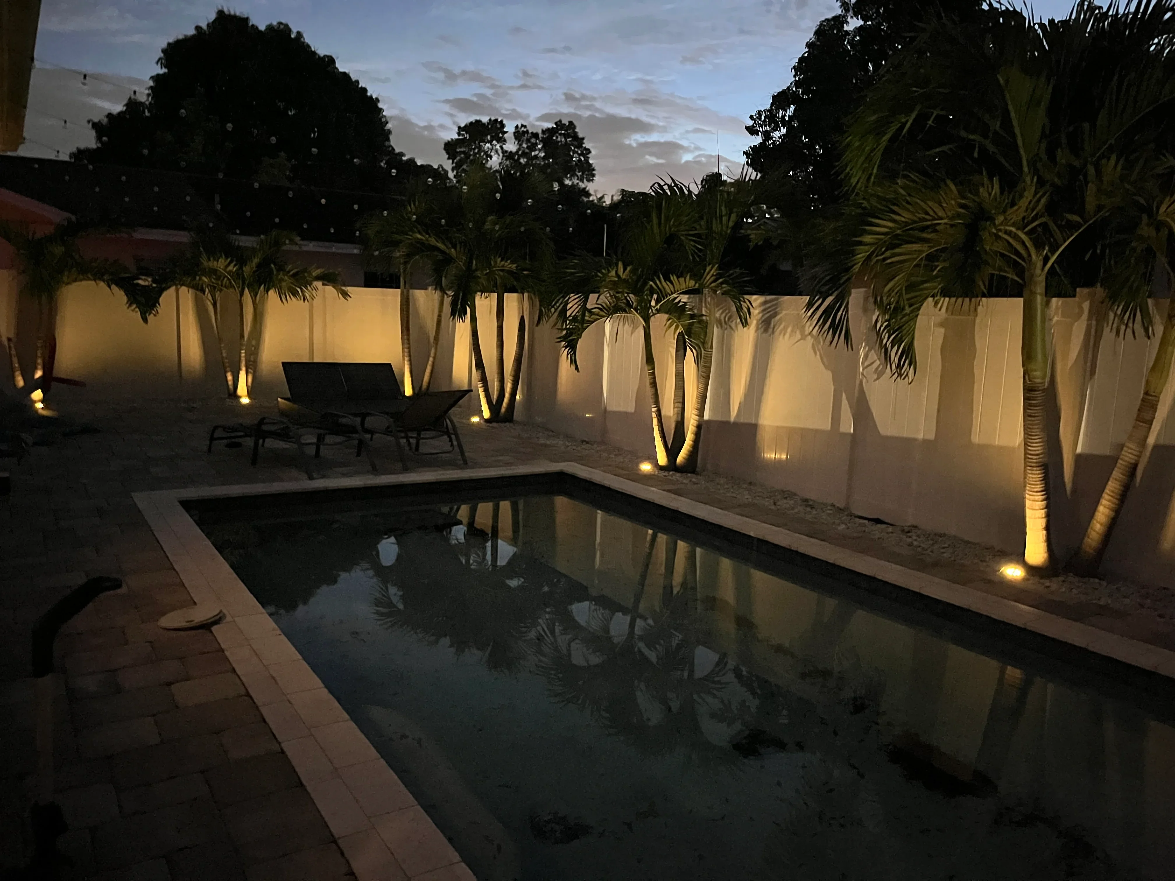 Illuminated palm trees and pool with uplighting against stucco wall at dusk