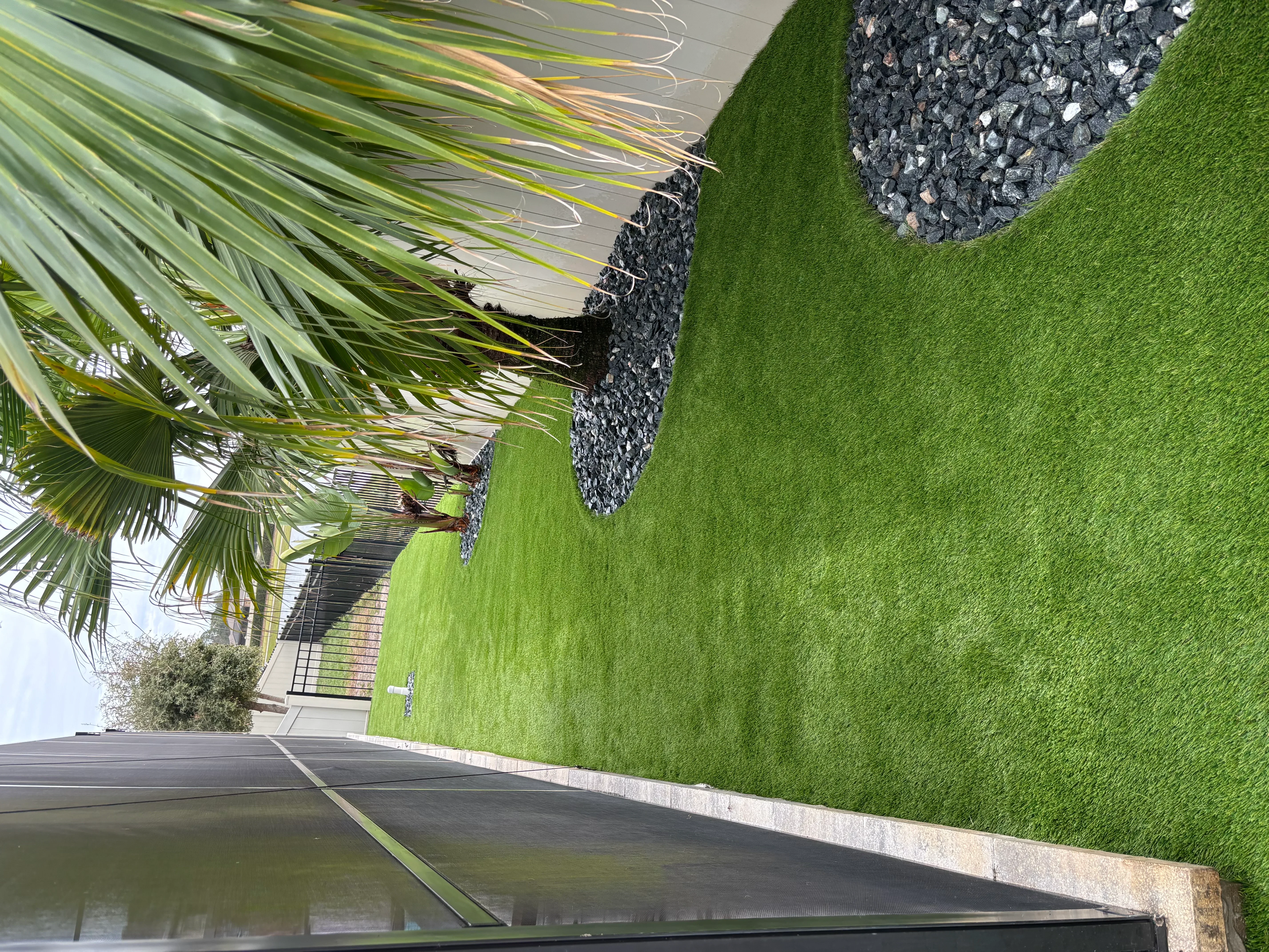Manicured lawn with concrete border, dark mulch bed, ornamental grasses, and palm plantings
